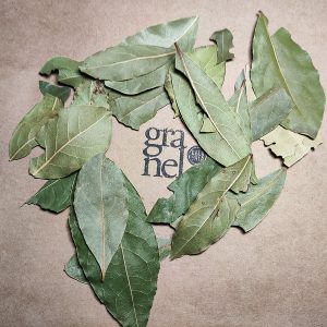LAUREL - HOJA